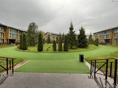 Лес арт резорт отель подмосковье