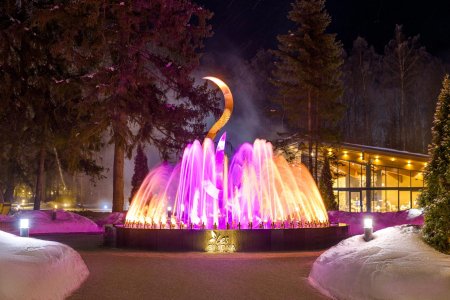 Лес арт резорт подмосковье