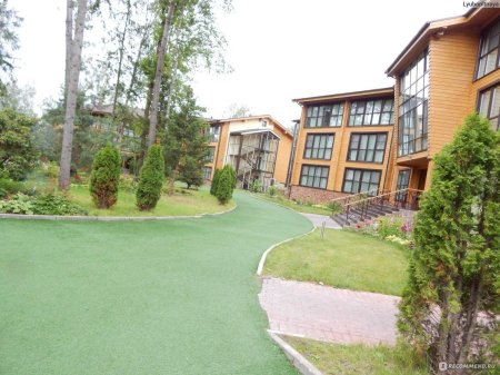 Лес арт резорт отель подмосковье