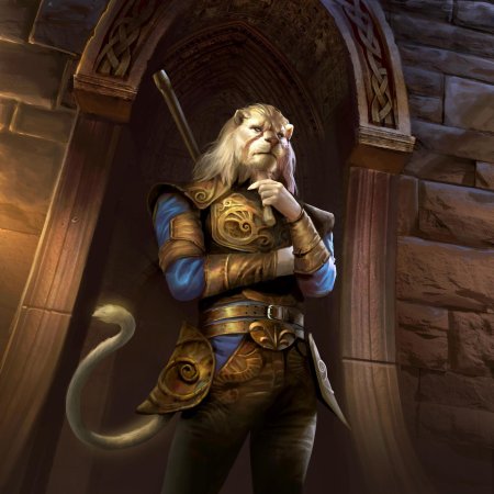 Каджит паладин