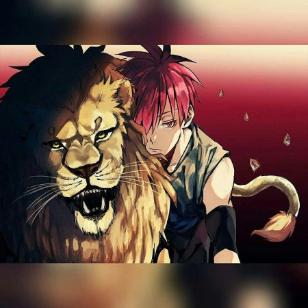 Акаши сейджуро лев