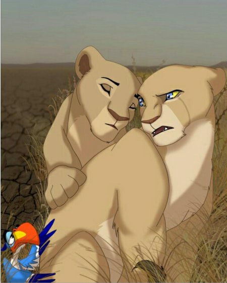 Король лев львица зира