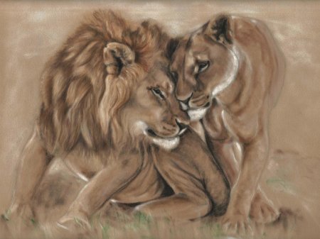 Лев и львица