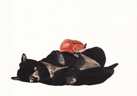 Лиса и медведь любовь