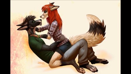 Лиса фурри любовь