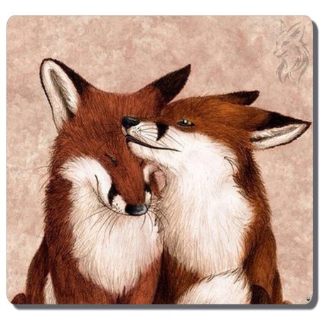 Лиса любовь