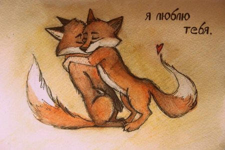 Люблю лису