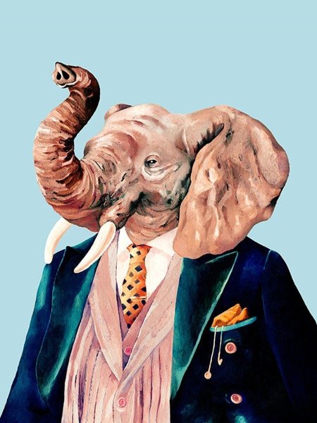 Животные в костюмах