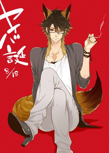 Неко кун лис