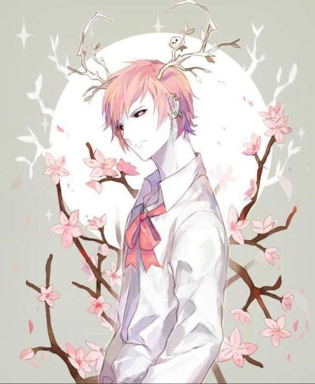 Кун розоволосый омега