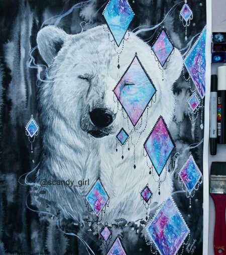 Арт медведь