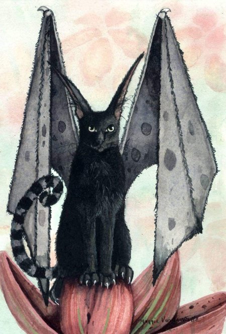 Кошка летучая мышь