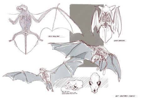 Крылья летучей мыши референс