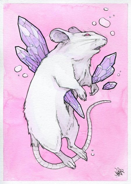 Крыса рисунки