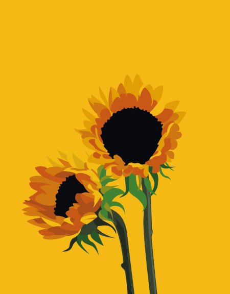 Рисунки подсолнуха