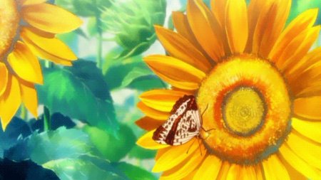 Аниме подсолнух