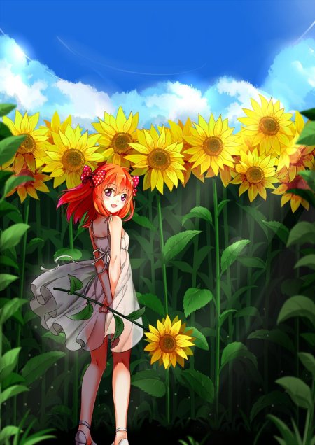 Подсолнух аниме