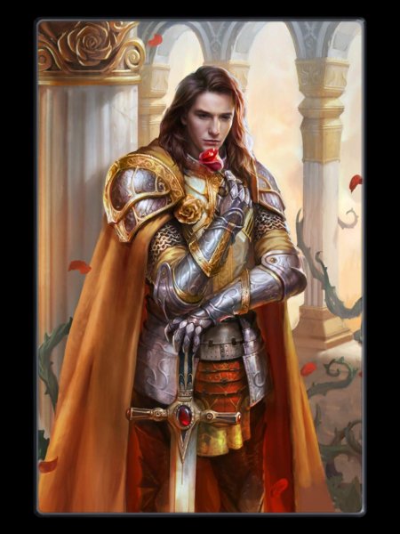 Рыцари розы