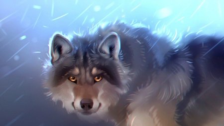 Красивый волк