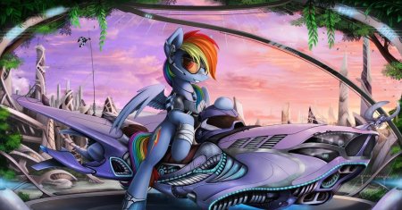 Рейнбоу дэш пилот