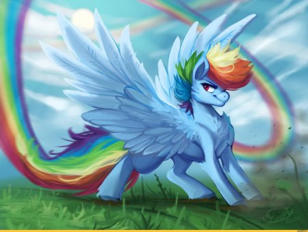 My little pony радуга дэш