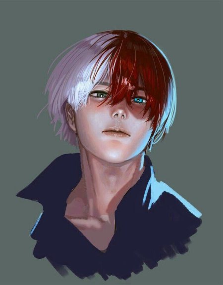 Шото тодороки аниме