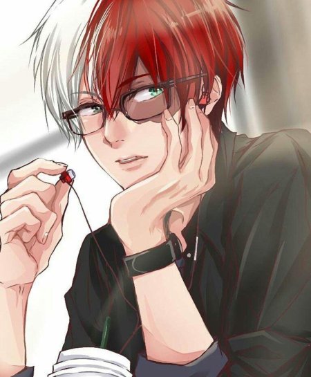 Шото тодороки