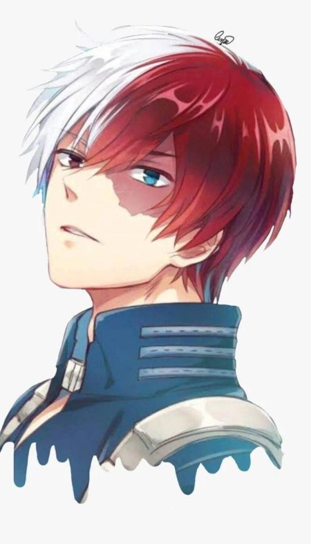 Тодороки шото