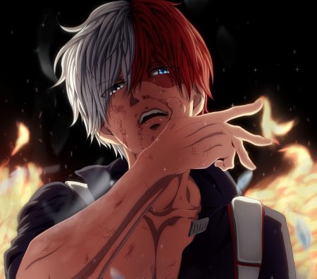 Моя геройская академия тодороки