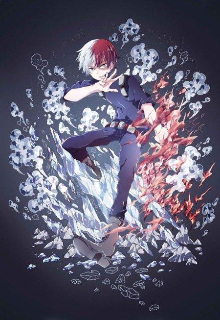 Моя геройская академия тодороки