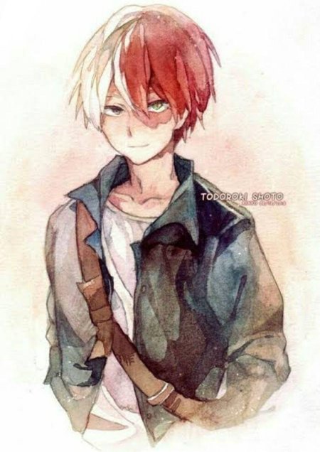 Шото тодороки