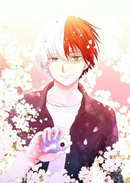 Todoroki shouto