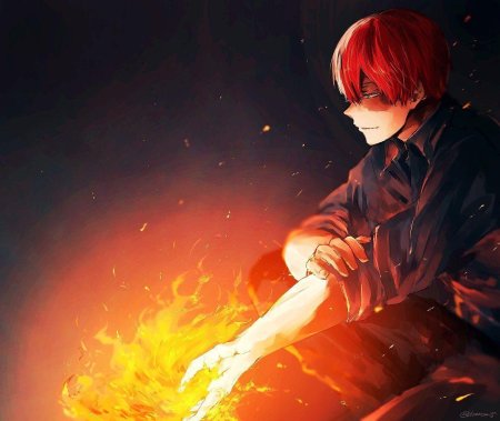 Моя геройская академия тодороки