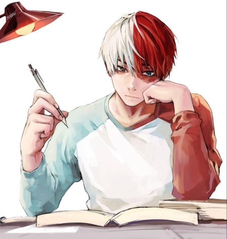 Шото тодороки