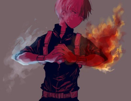 Моя геройская академия тодороки