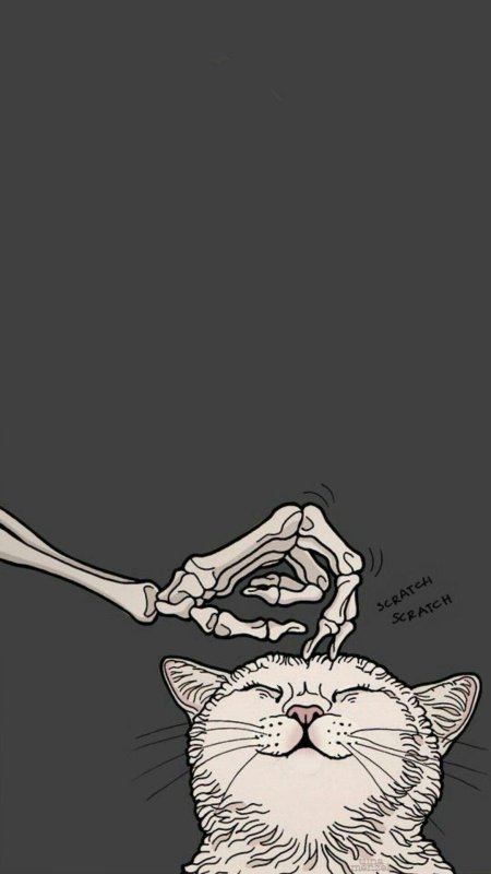 Скелет с котом