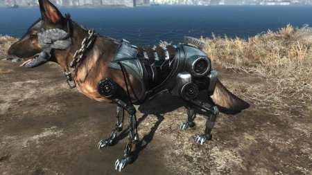 Фоллаут 4 собака