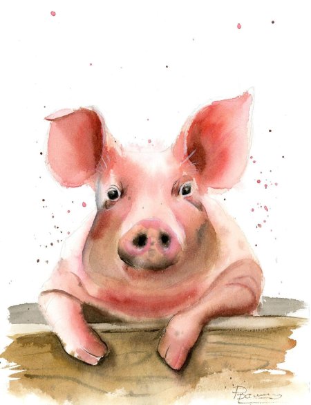 Свинья акварель
