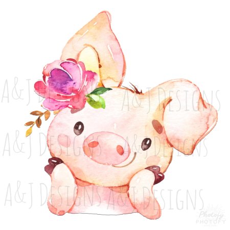 Милая свинка