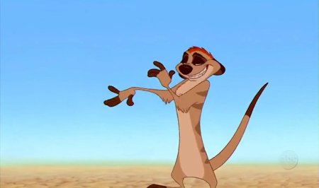 Тимон сурикат из король лев