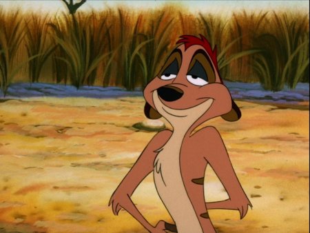 Тимон король лев