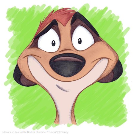 Тимон из мультика