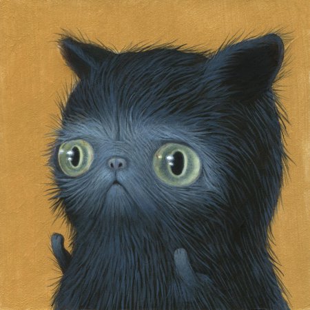 Персидская кошка черная