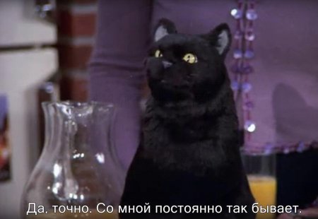 Сабрина маленькая ведьма салем