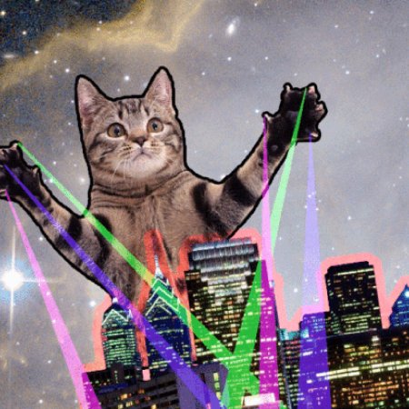 Космический кот