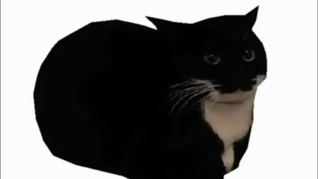 Кот максвелл