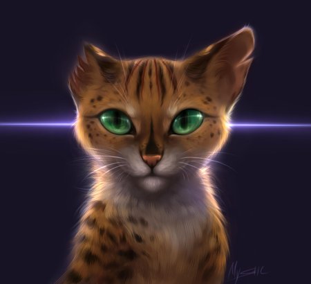 Коты воители 3д