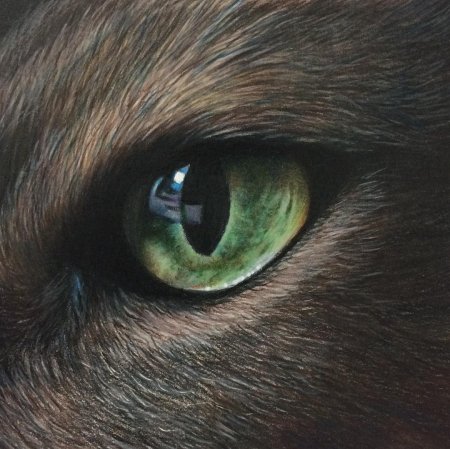 Глаза кошачьи