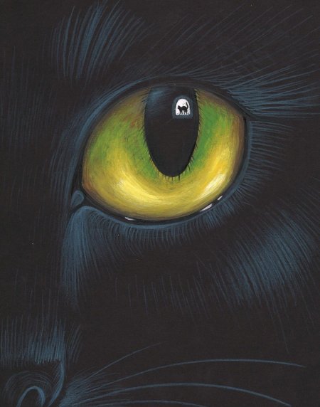 Black cat art
