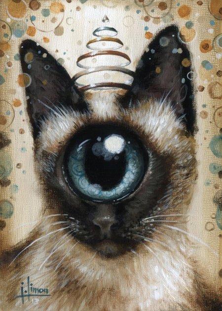 Кошка с глазами